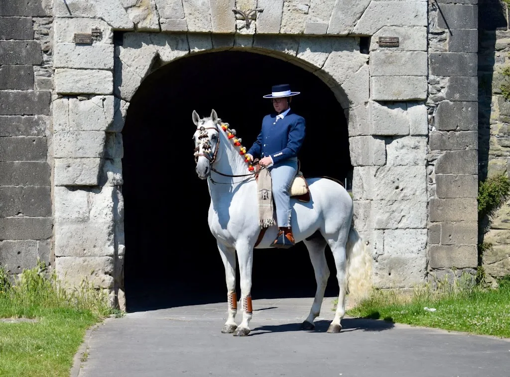 Marvin's Royal Horses - Foto 1