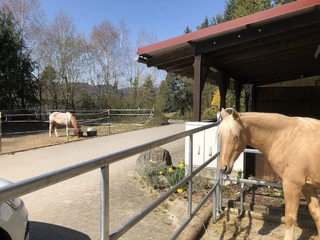 Reitanlage Berghof - Foto 2
