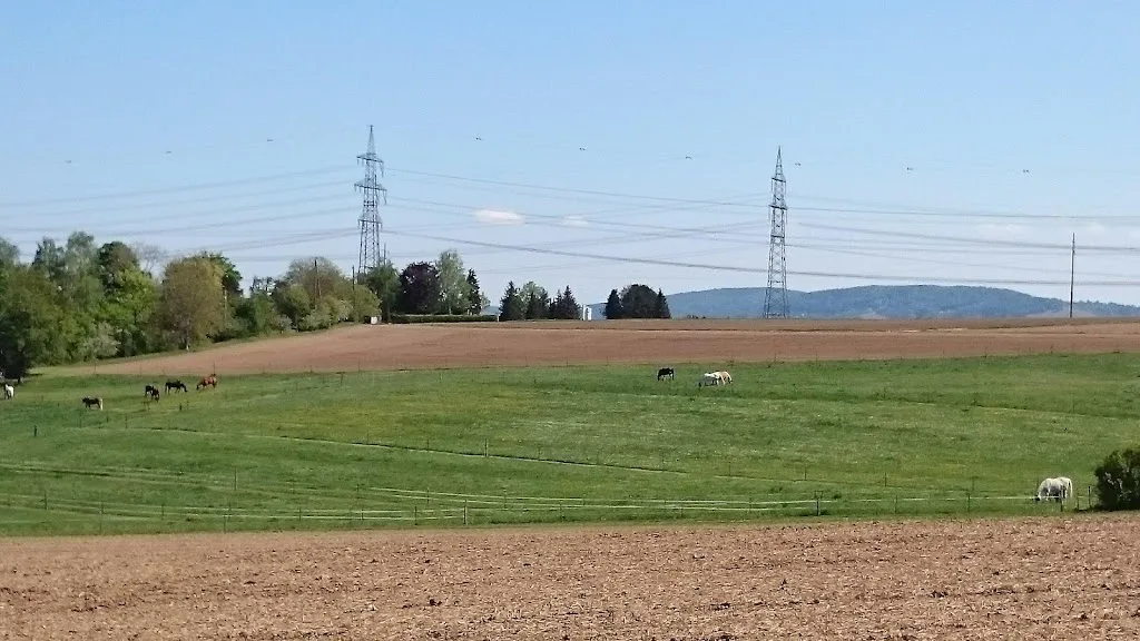 WILD - Hofladen & Reitstall - Foto 1