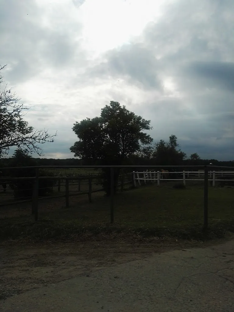 Gut Seeburg am Champagnerberg Polo & Country Club - Foto 2