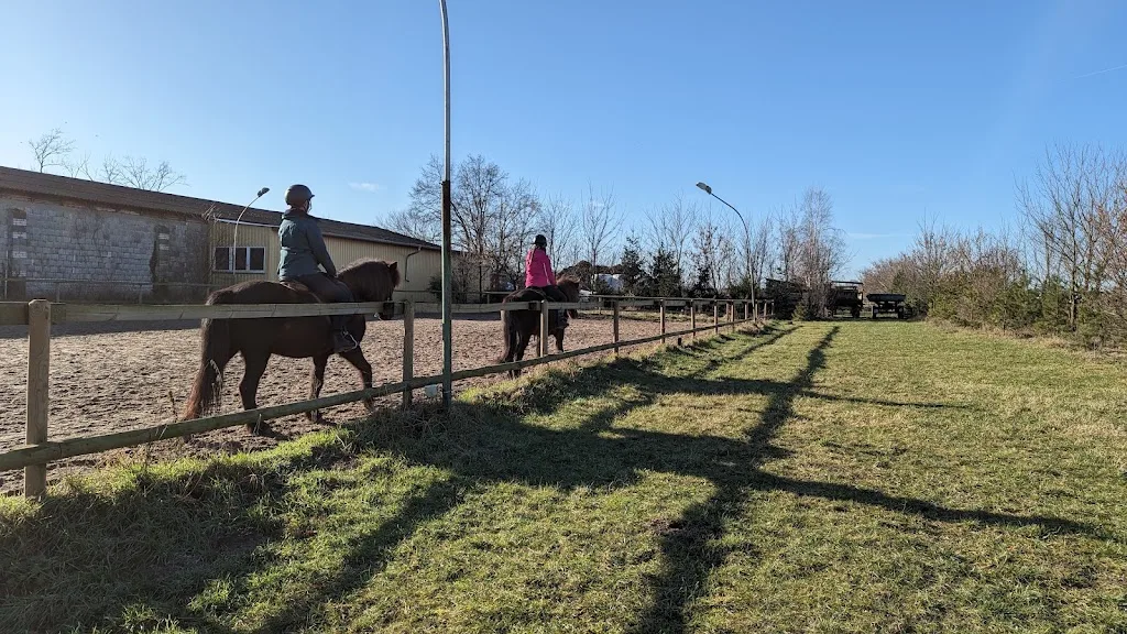 Kutsch und Reitbetrieb Hönower Herde - Foto 2