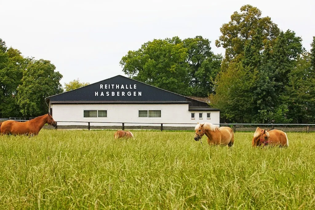 Reithalle Hasbergen - Foto 1