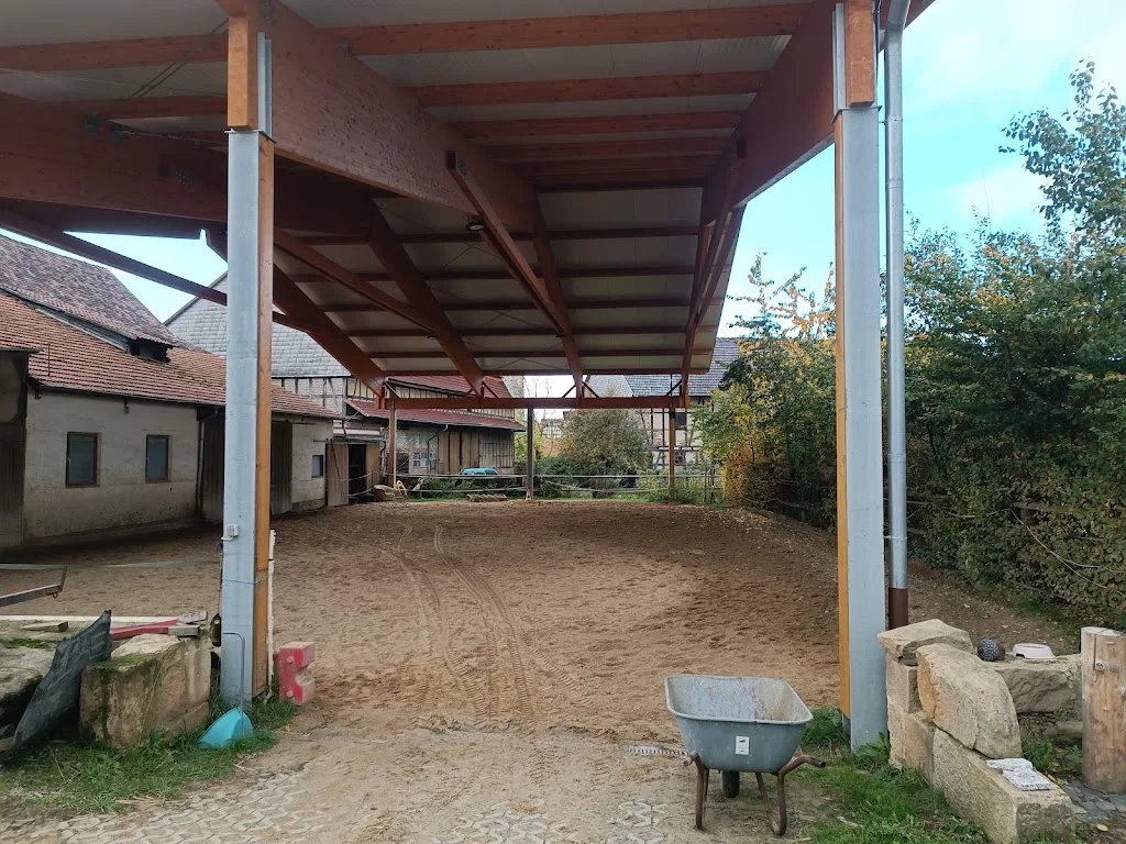 Pferdepension Lemmer - Foto 1