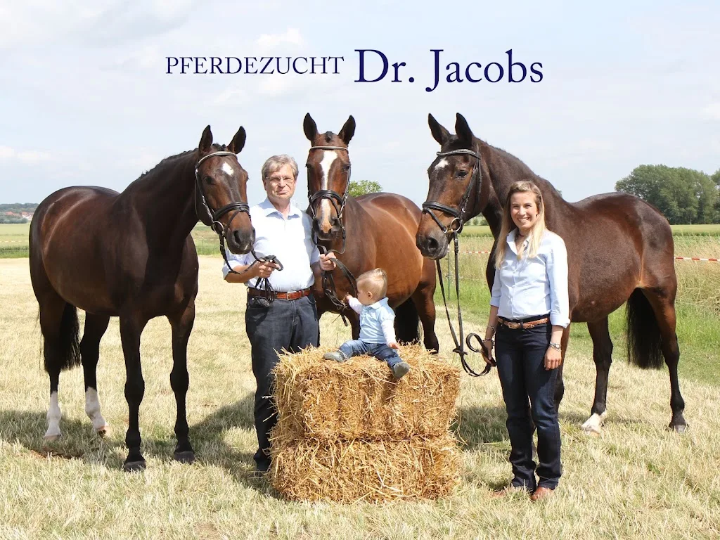 Pferdezucht Dr. Jacobs - photo 2