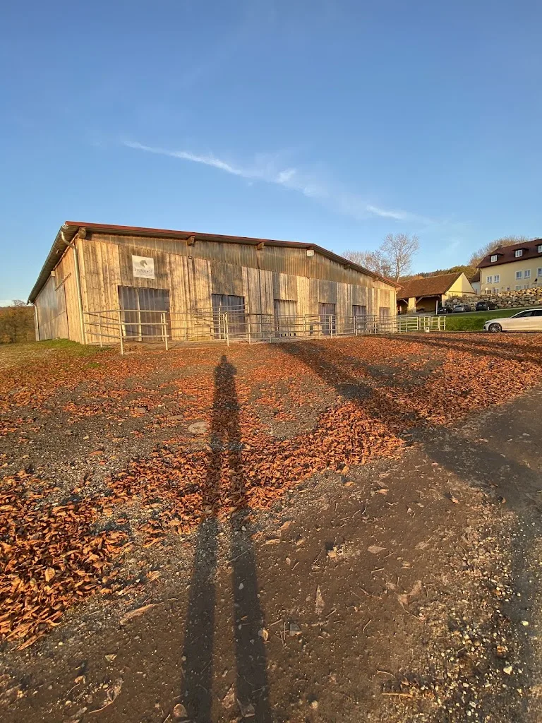 Hardy Ranch-Pferdehaltung mit Herz und Verstand - photo 1