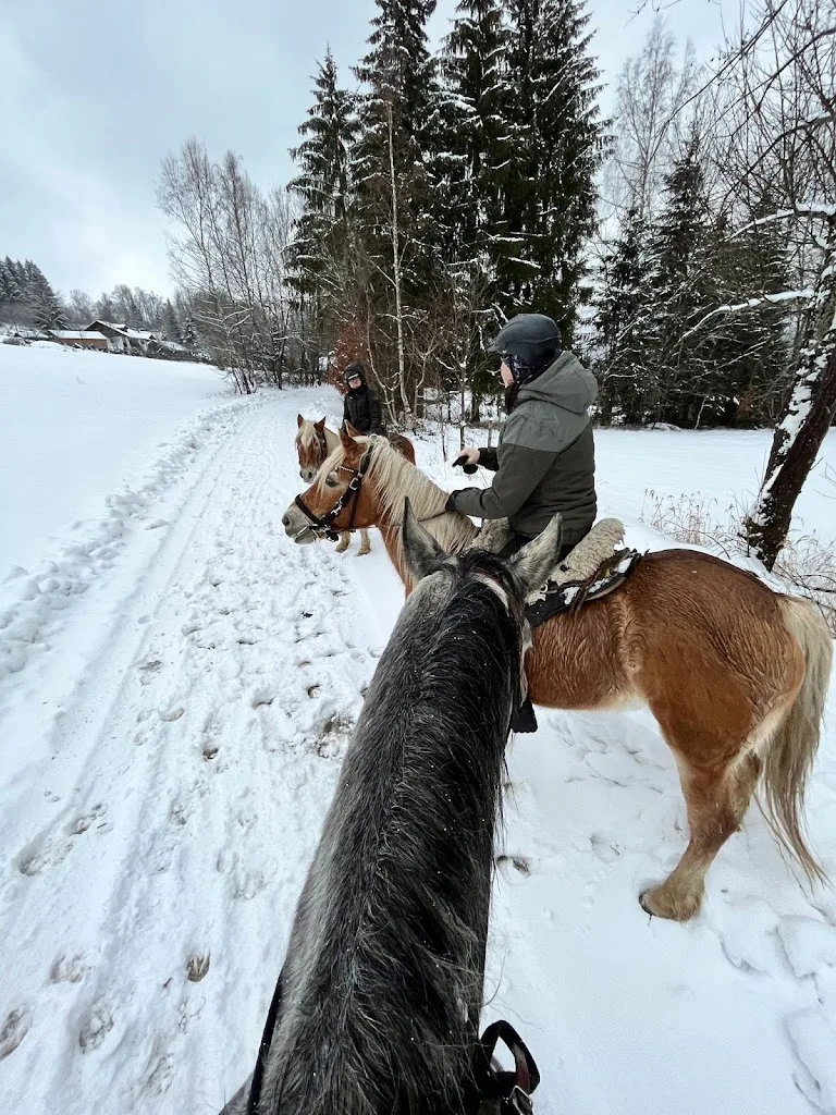 Hardy Ranch-Pferdehaltung mit Herz und Verstand - photo 2