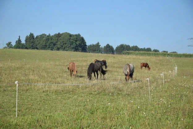 Benitz Konrad - Foto 1