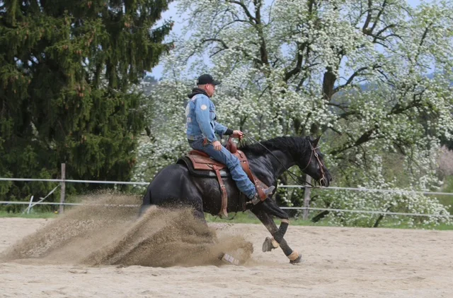 Philipp Martin Haug - Foto 2