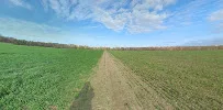 Reitanlage Bensdorf - Foto 1