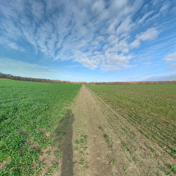 Reitanlage Bensdorf - Foto 2