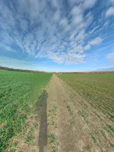 Reitanlage Bensdorf - Foto 3