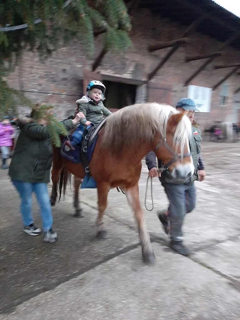 Hafertaxi - Pensions- & Wanderreitstall - photo 1