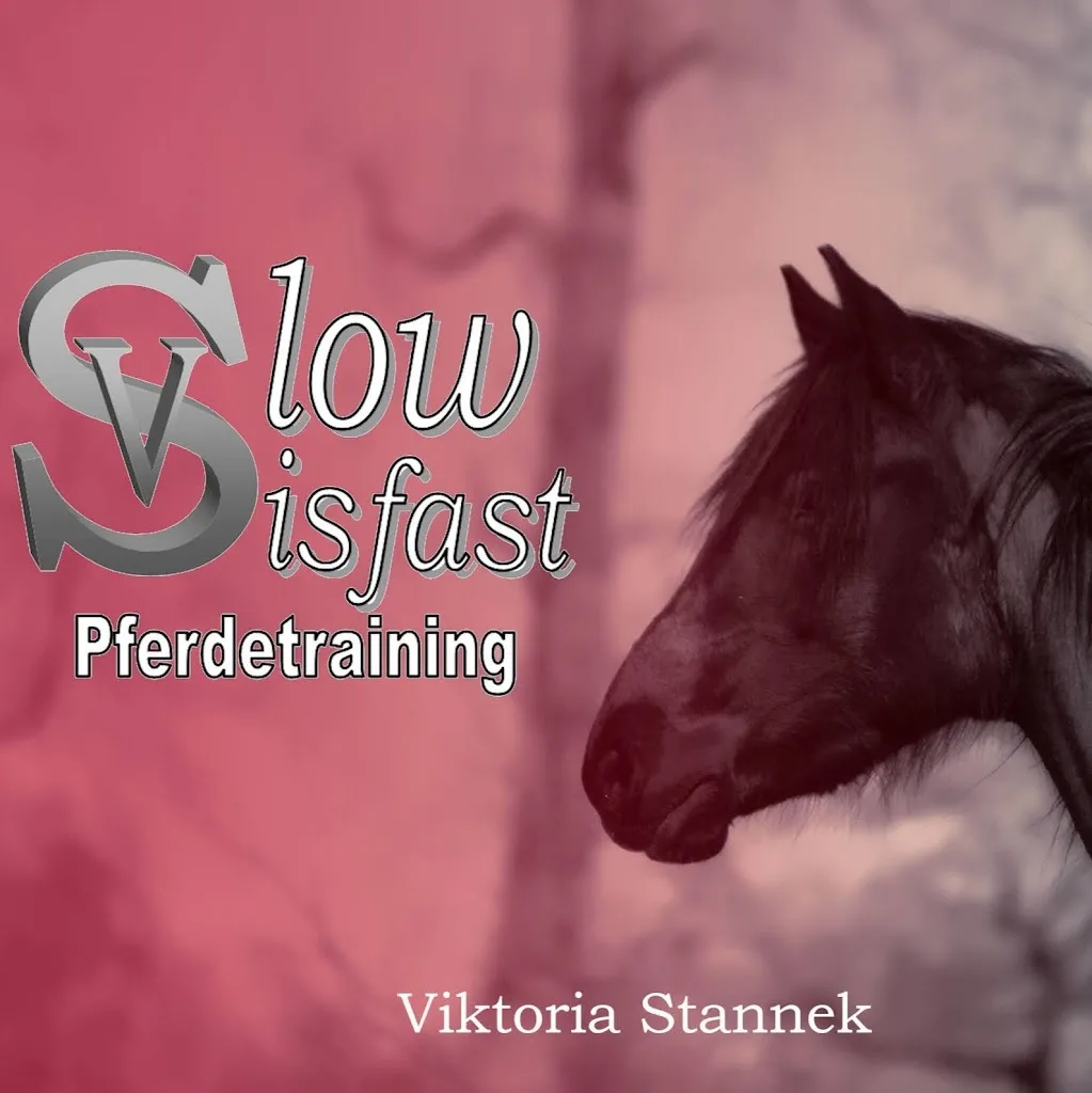 Slowisfast-pferdetraining - Foto 2