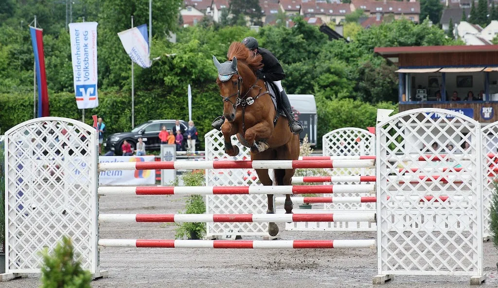 Reitstall Robert Hering - photo 2