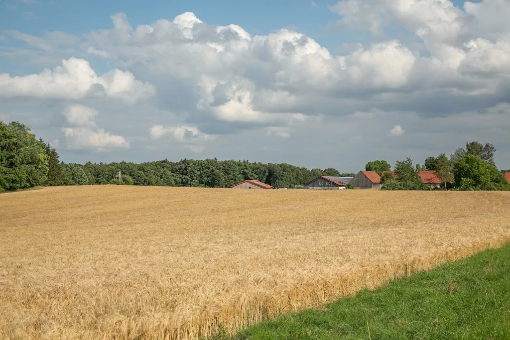 Reitanlage Konstein - Foto 2