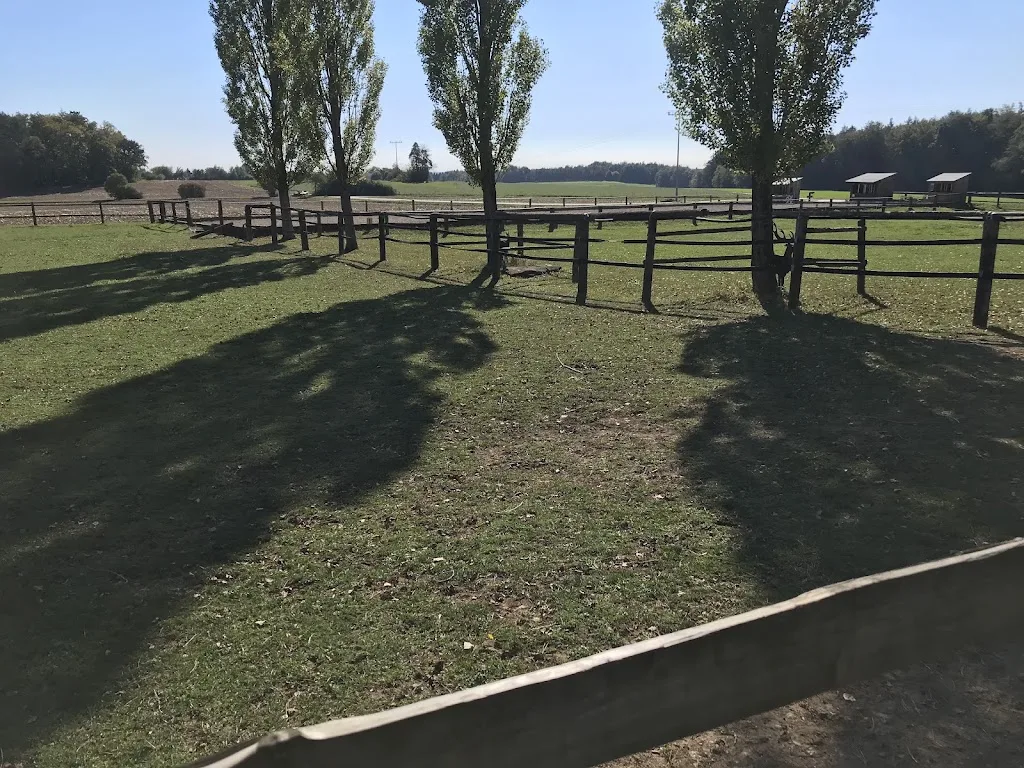 Reitanlage Konstein - Foto 3