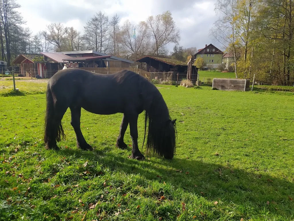Dainsn Ranch - Foto 1