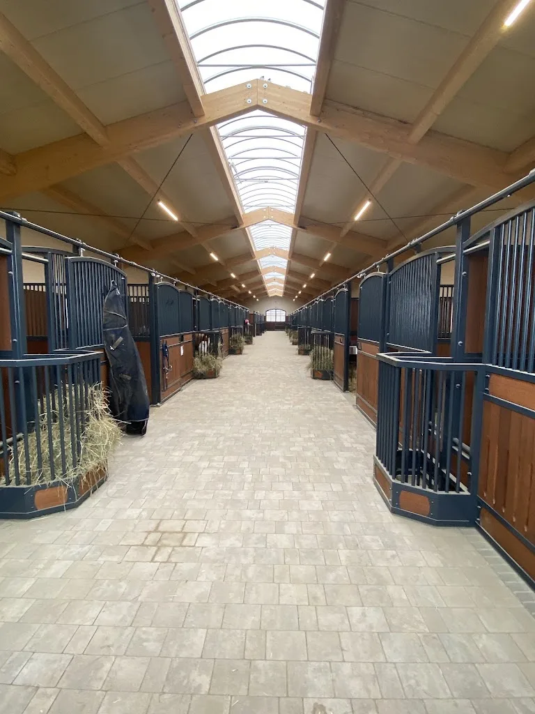 Dainsn Ranch - Foto 2