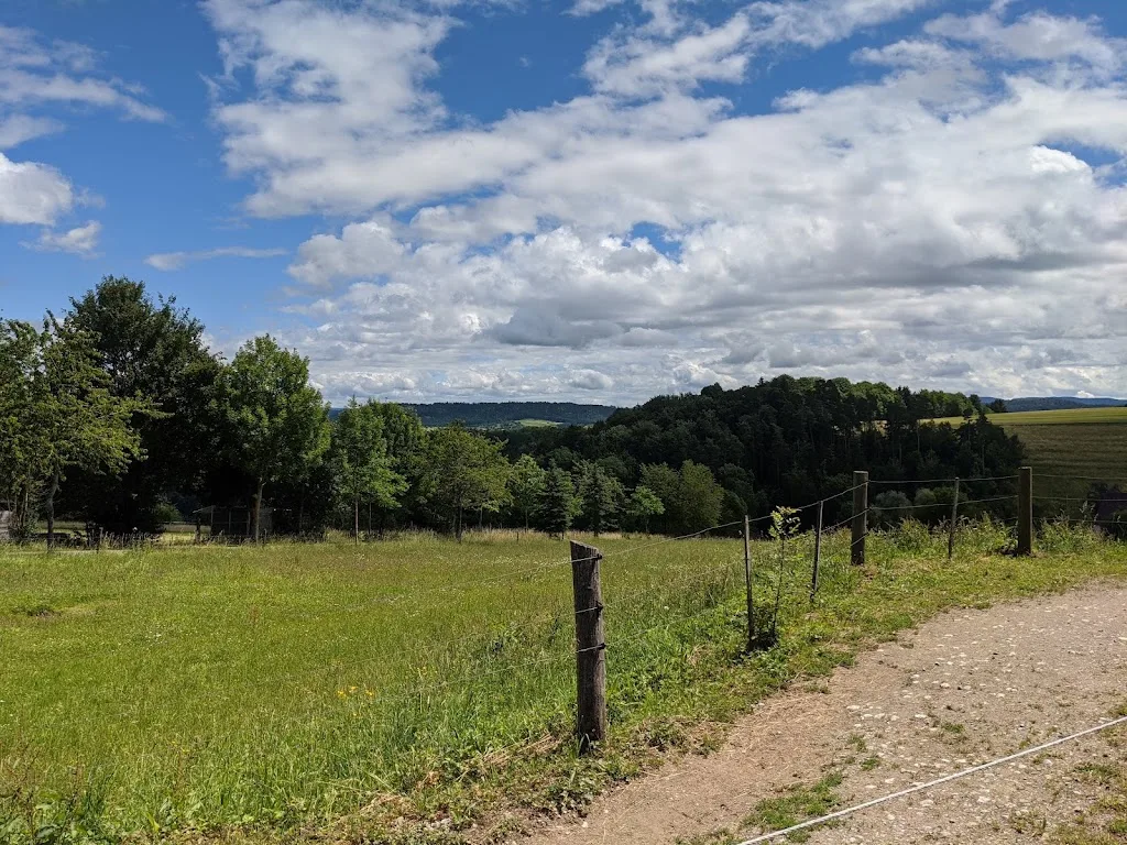 Islandpferdehof Wenthof - photo 1