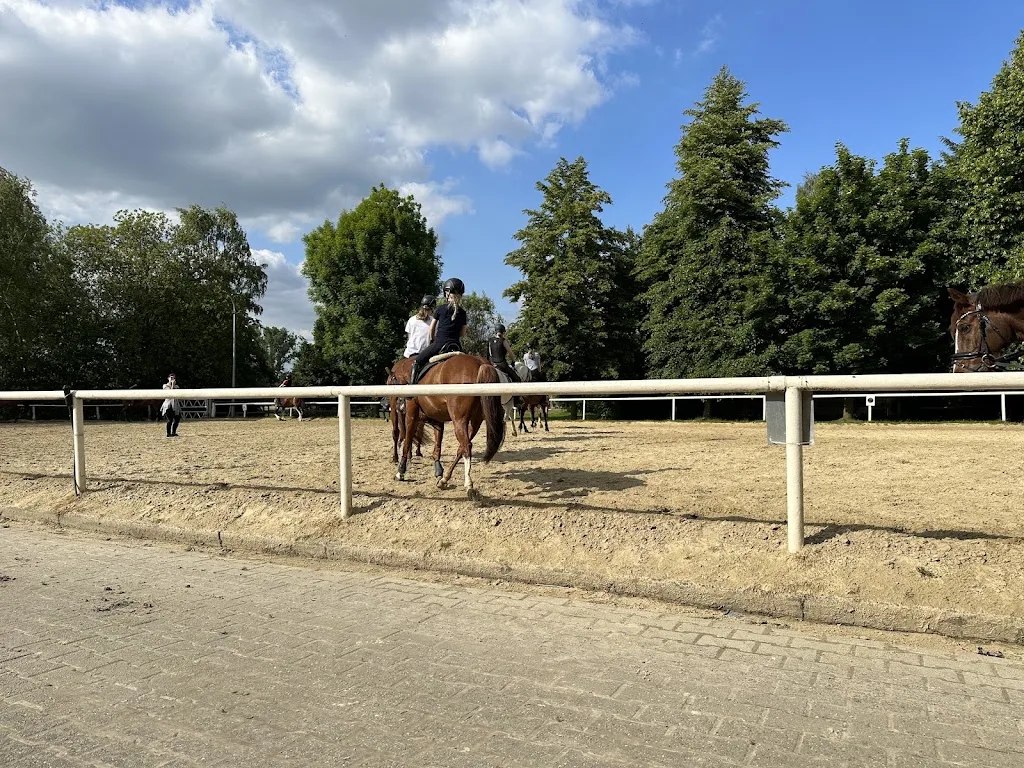 Reiterhof Tappe - Foto 2
