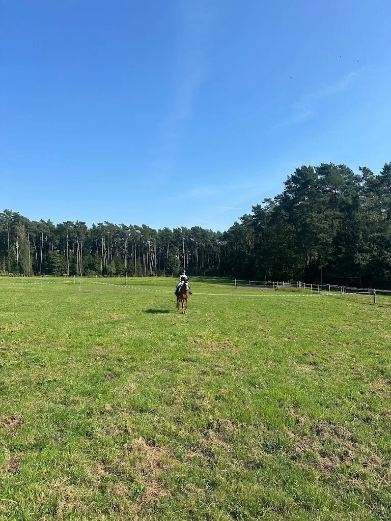 Reitanlage Kindsgrab - Foto 1