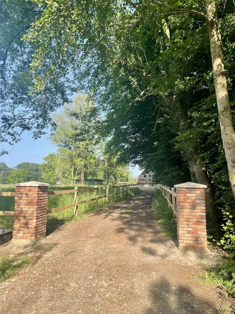 Pferdeaufzucht Hiesterhof - Foto 1
