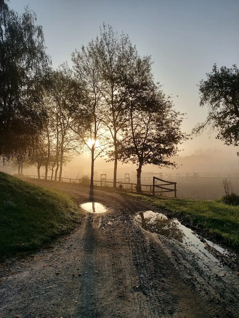 Reitstall Hartwig Jung Bannberscheid - photo 2