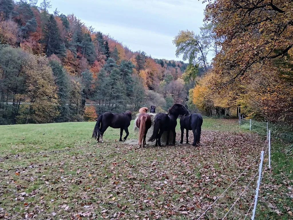 Reitplatz - Foto 1