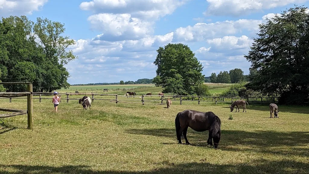 Reitanlage Luhetal - Foto 1