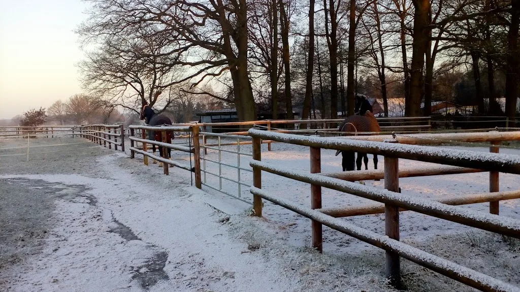 Reitanlage Luhetal - Foto 3
