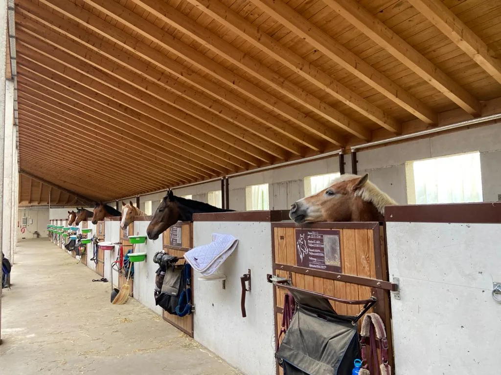 Reitanlage Mayer - Foto 1