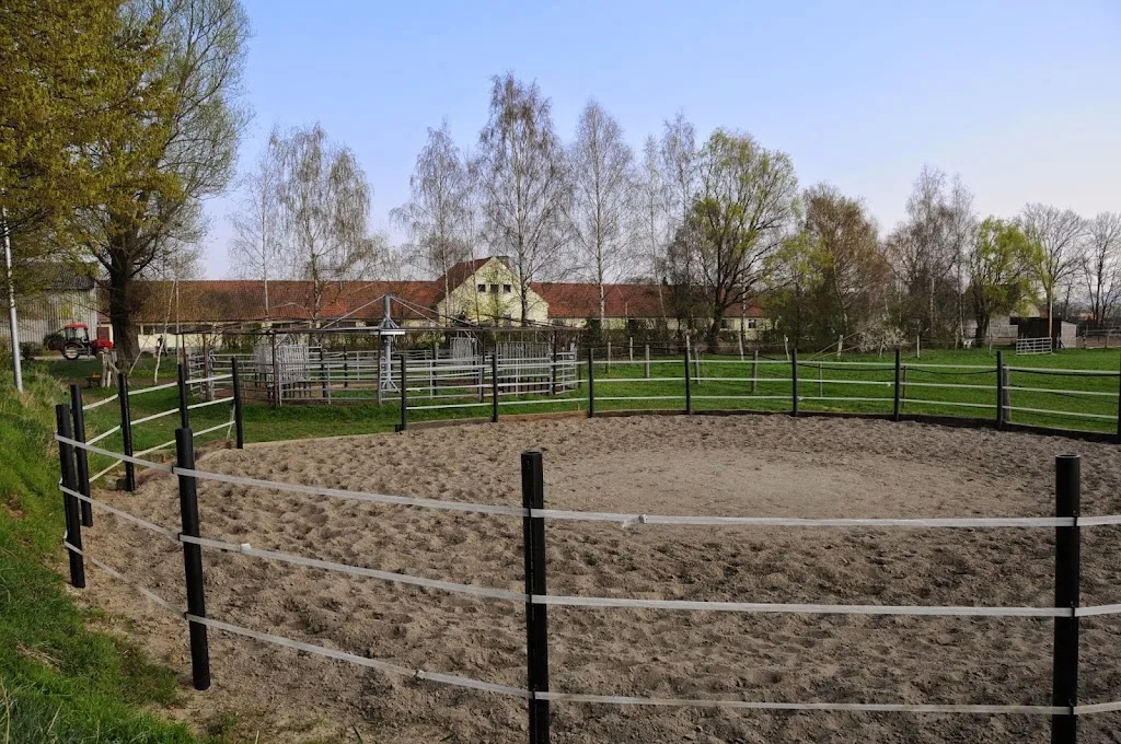 Mindener Pferdezucht Reit und Fahrverein e.V. - Foto 1