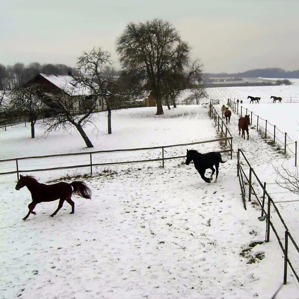 Reitstall Jäger - photo 1