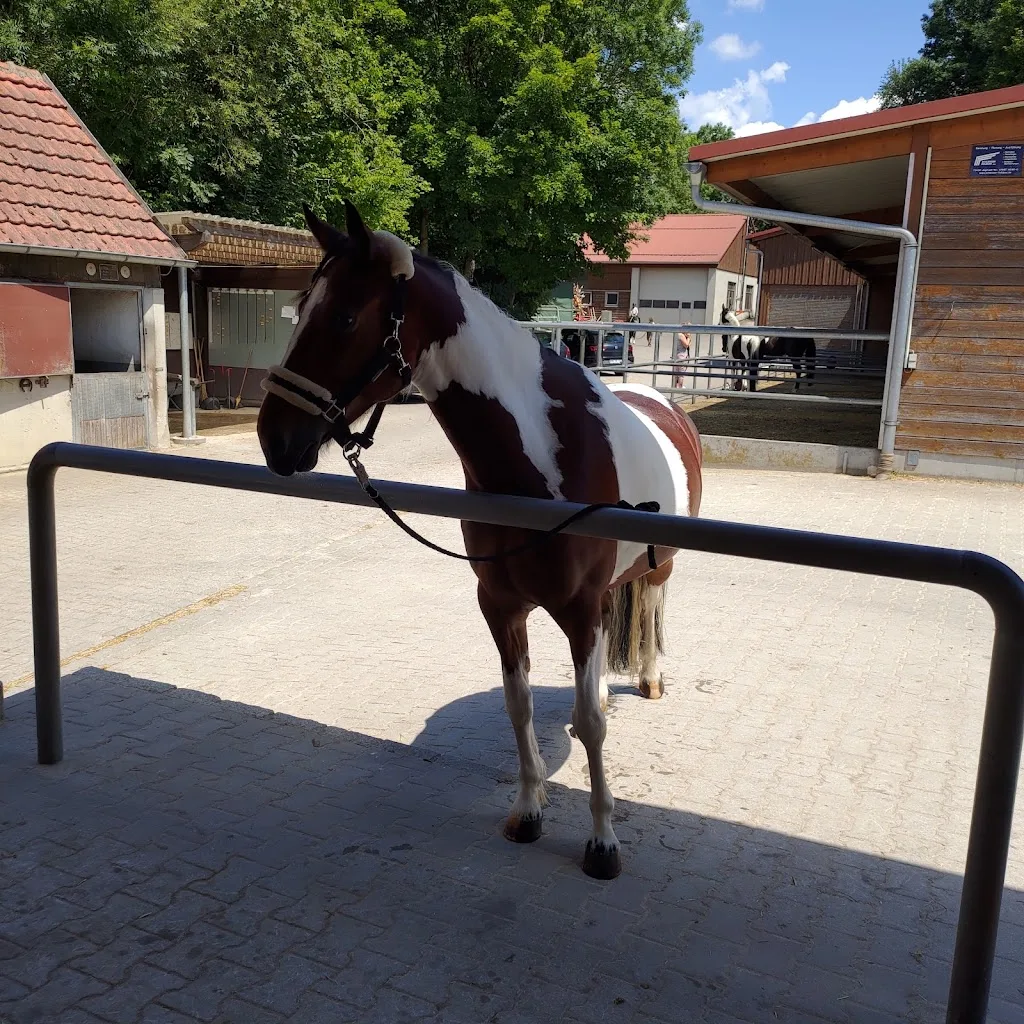 Reitstall Jäger - photo 2