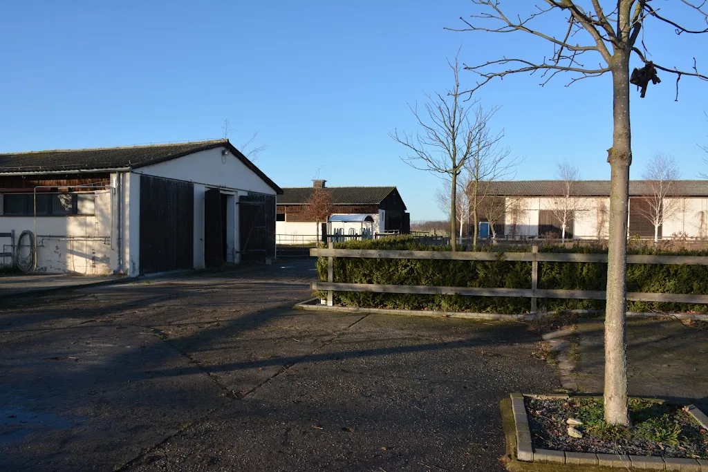 Stall Saaringen - photo 1