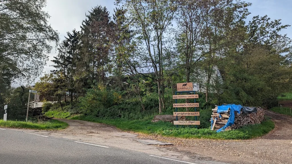 Christina Koob, Islandpferde, Beritt, Pensionsstall und Verkaufspferde Fasanenhof - Foto 3