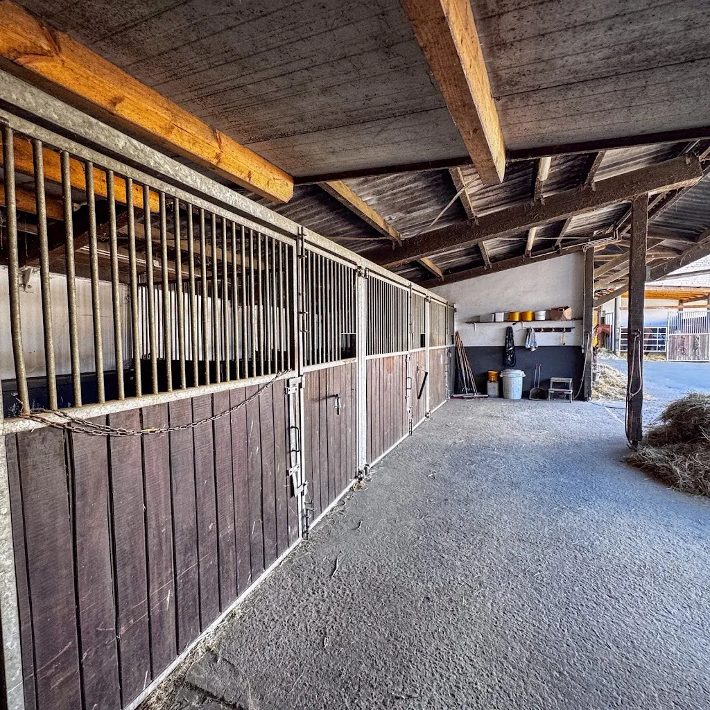 Pferdepension Kraus - Foto 1