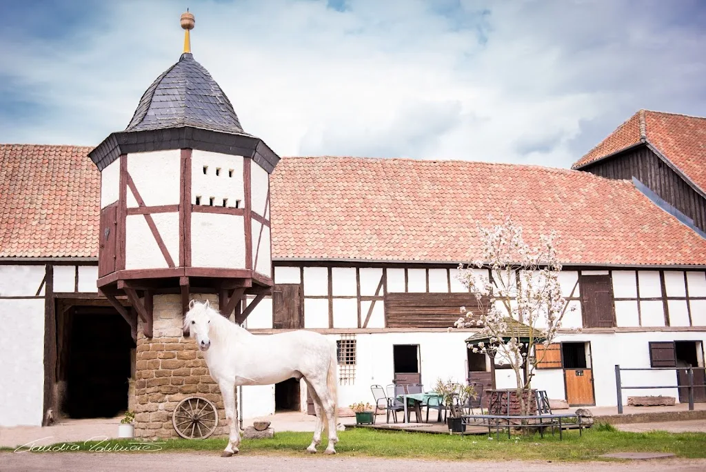 Reiten im Harz - Islandpferde vom Hasselhof - photo 2