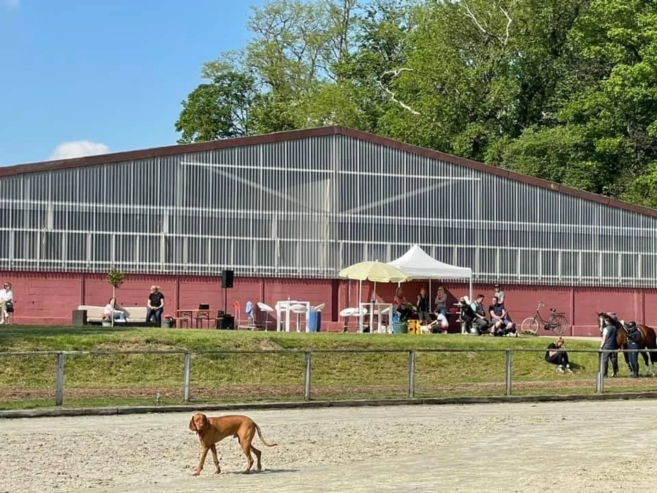 annahof – neffelbach stables - photo 3