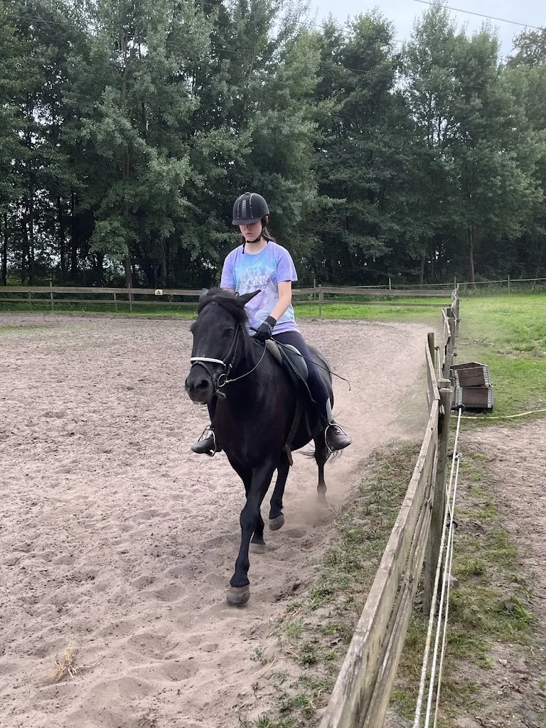 Reitunterricht auf Islandpferden - Annika Timmermann - photo 1