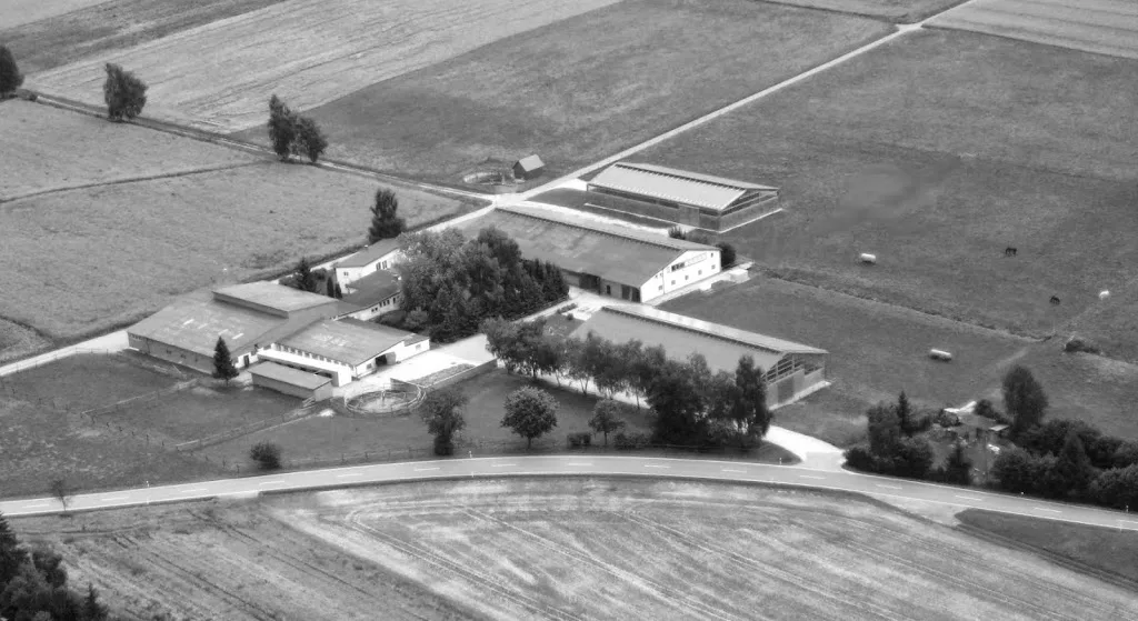Reitanlage Renz - Foto 2