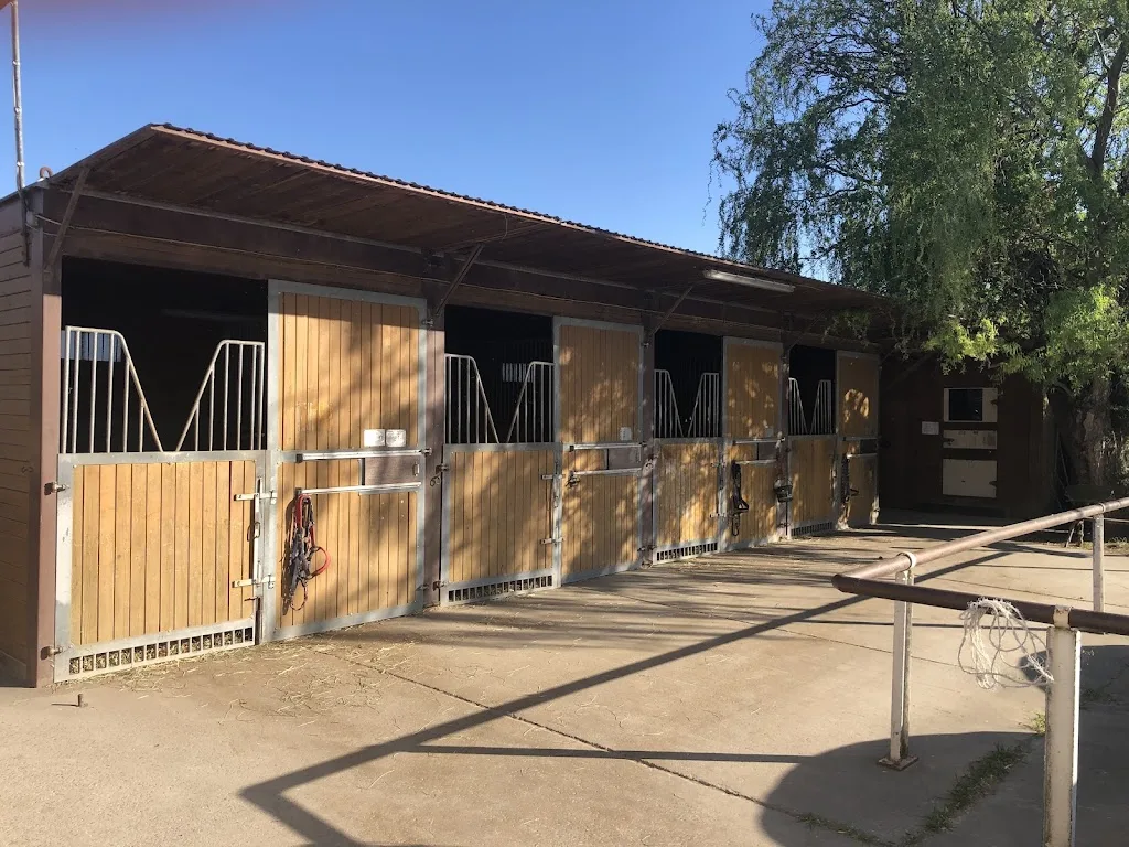 Reitanlage Frankenfelderhof - photo 2