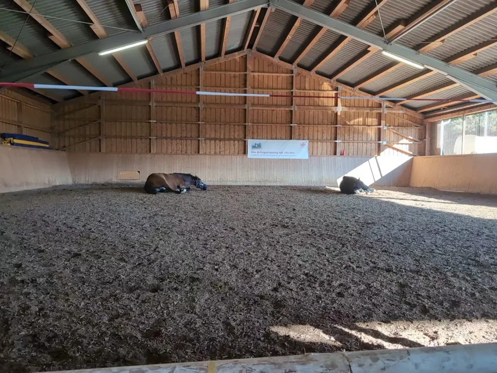 Reit- und Fahrstall Mayr - Foto 1