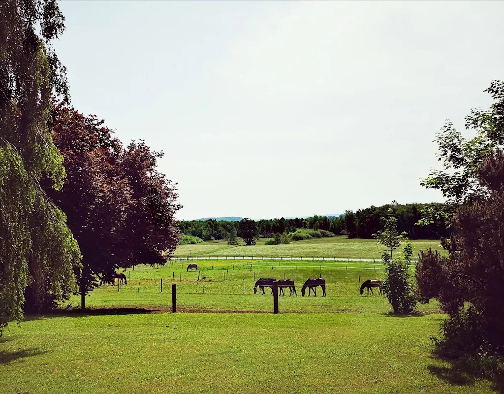 Reitstall Reitgut Roßtal - Foto 1