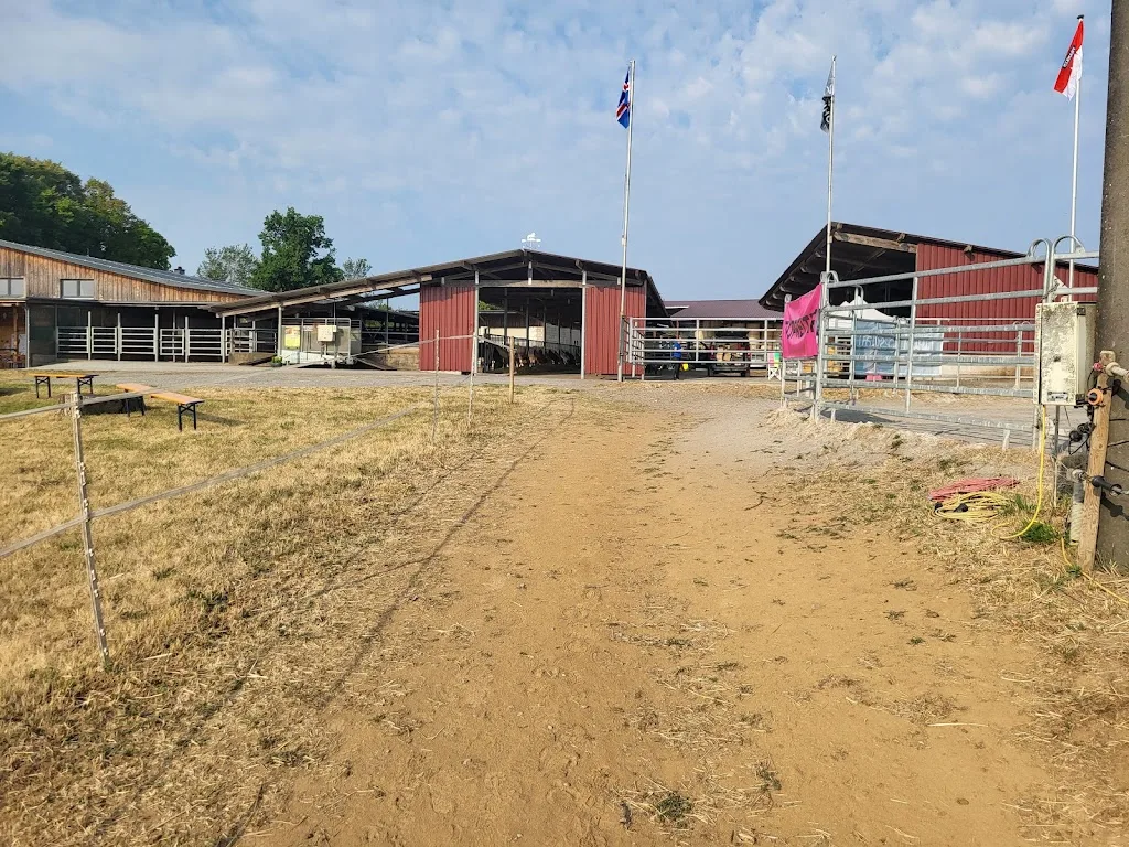 Islandpferde Von Der Lindenhöhe - Foto 1