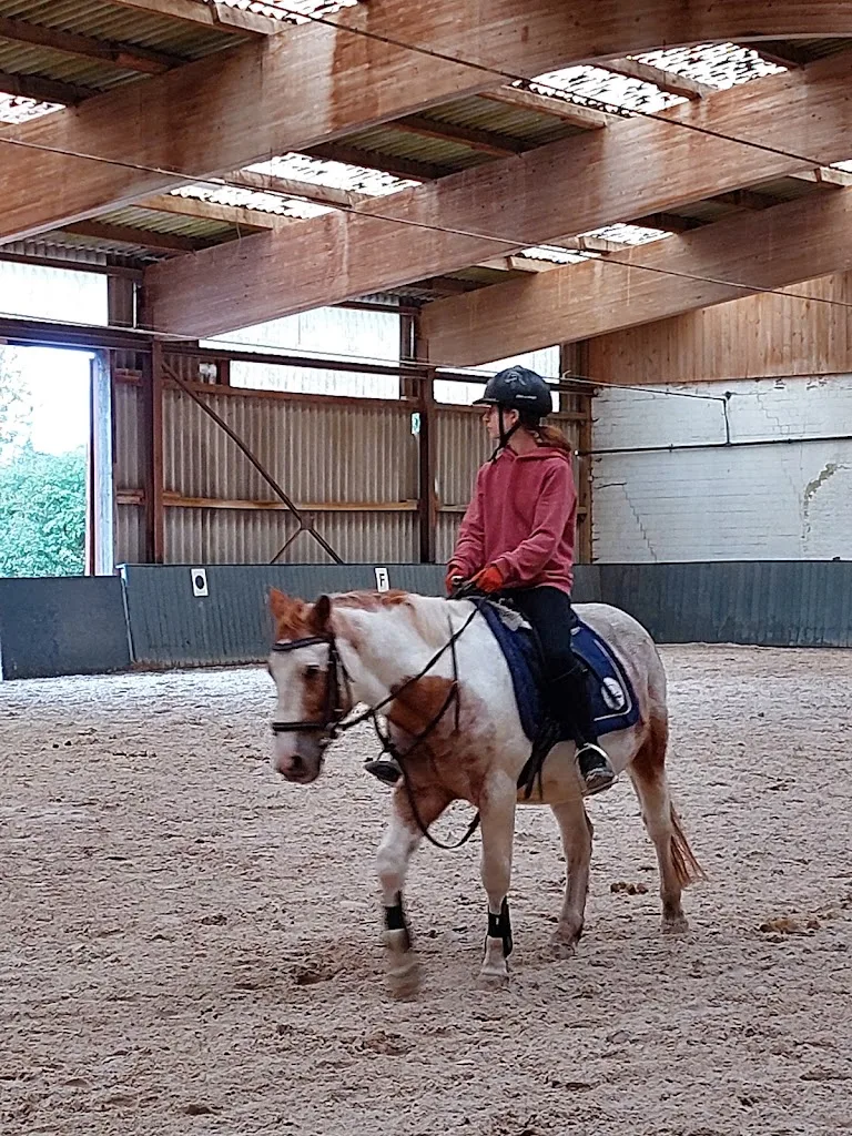 Tertu Waldschmitt Pferdesport - Foto 1