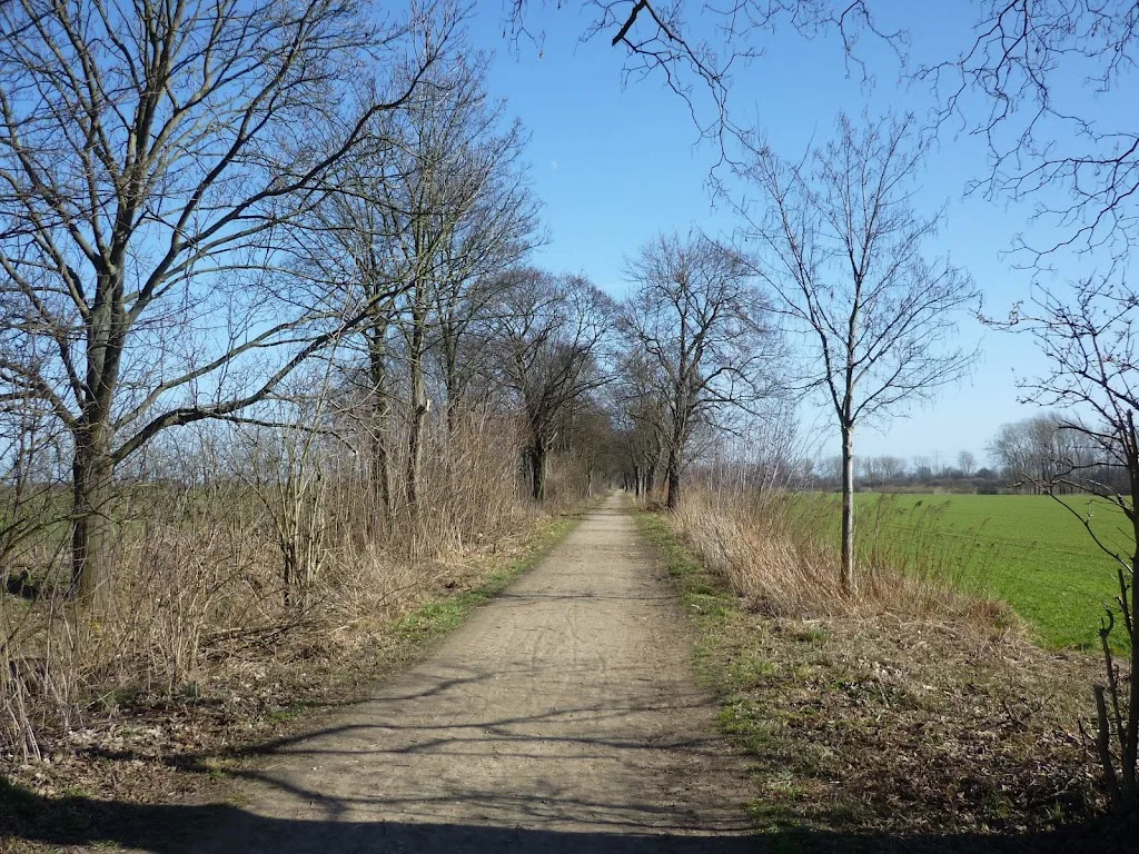 Reit- und Freizeithof - Foto 3