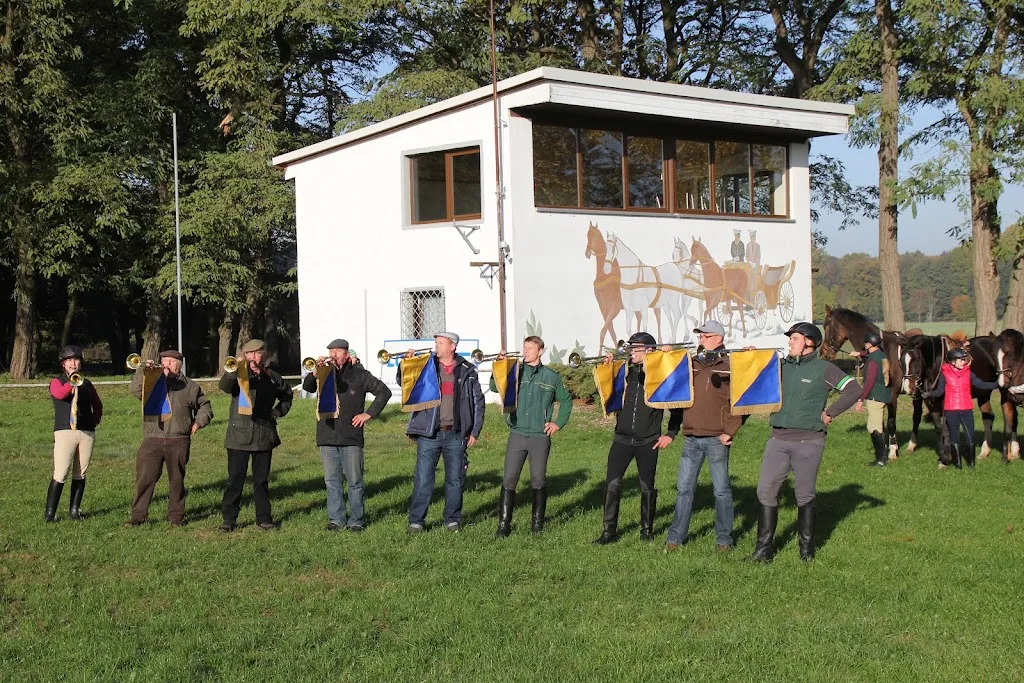 Pferde & Ponyhof Dabern - Foto 3