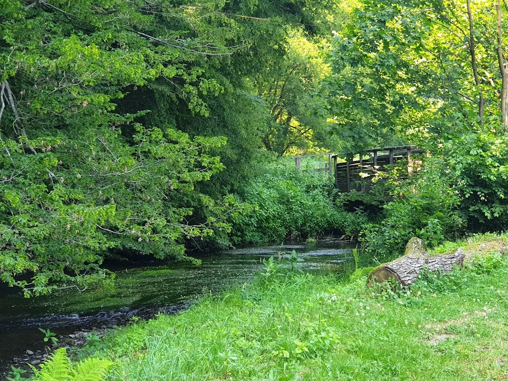 Gestüt Hausgrund - Kim Wasser-Rochner - Foto 2