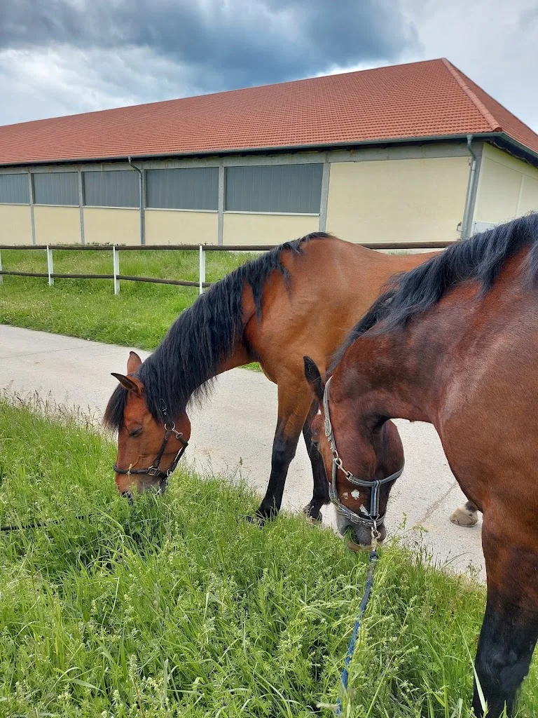 Gestüt Keilhof - Foto 3